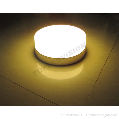 Warm White Flush Mount Ceiling Light